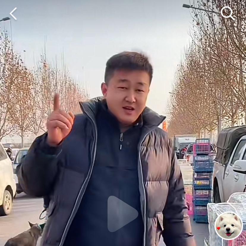 冬哥的🦌