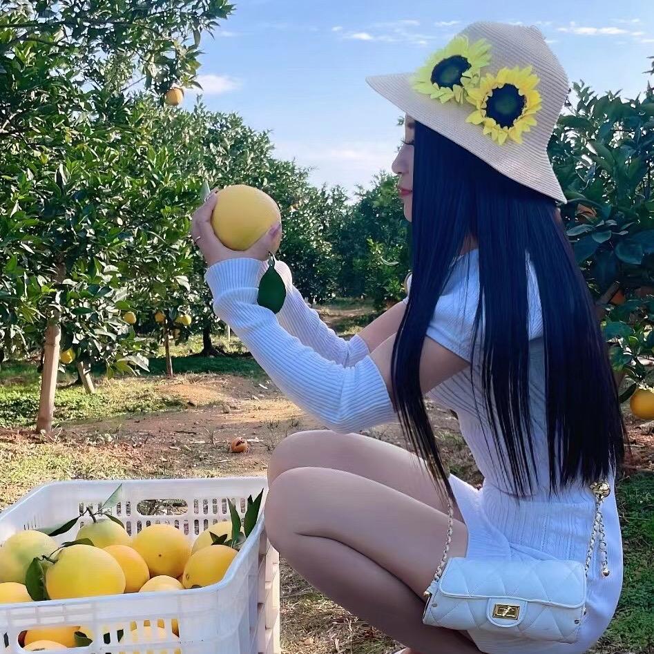 梅姑娘小号