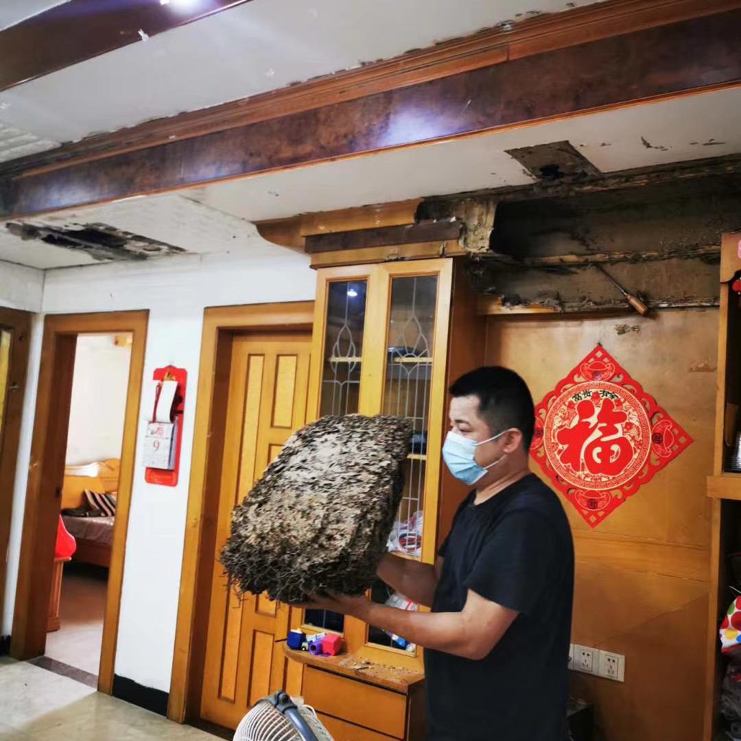 百邦生物防治