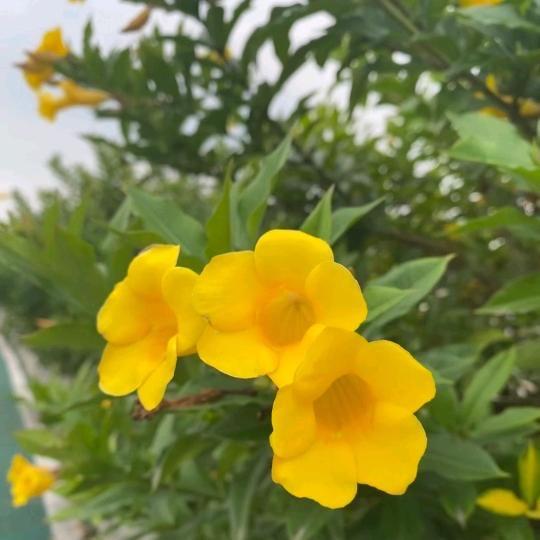 张老师锦萃小铺