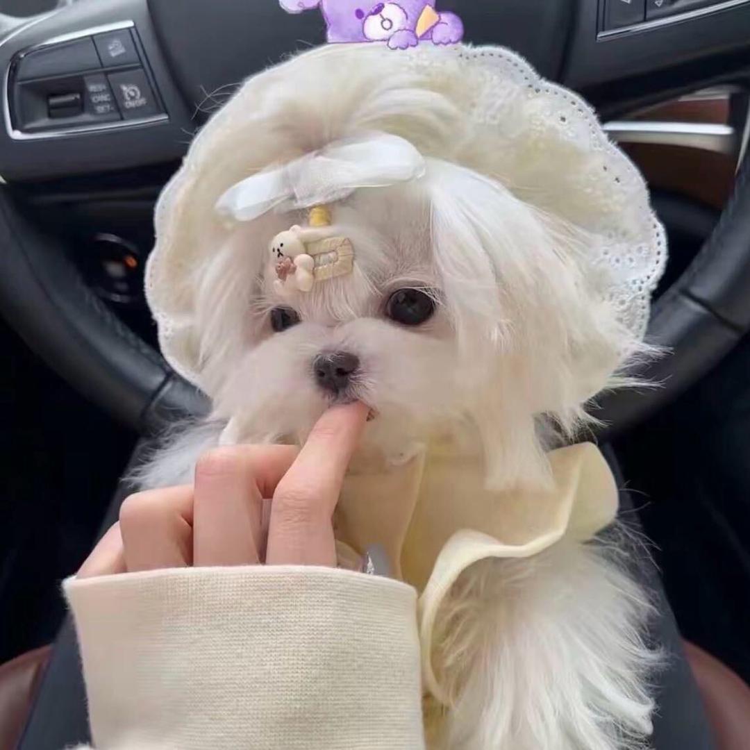 超级萌