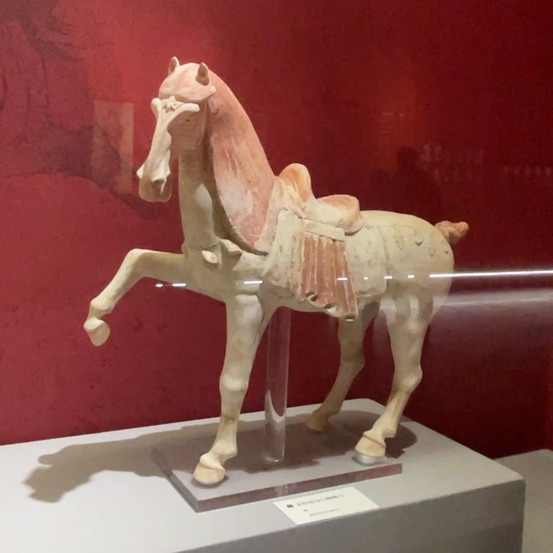🐎
