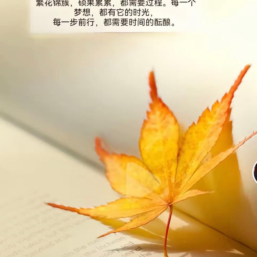 ～十一～
