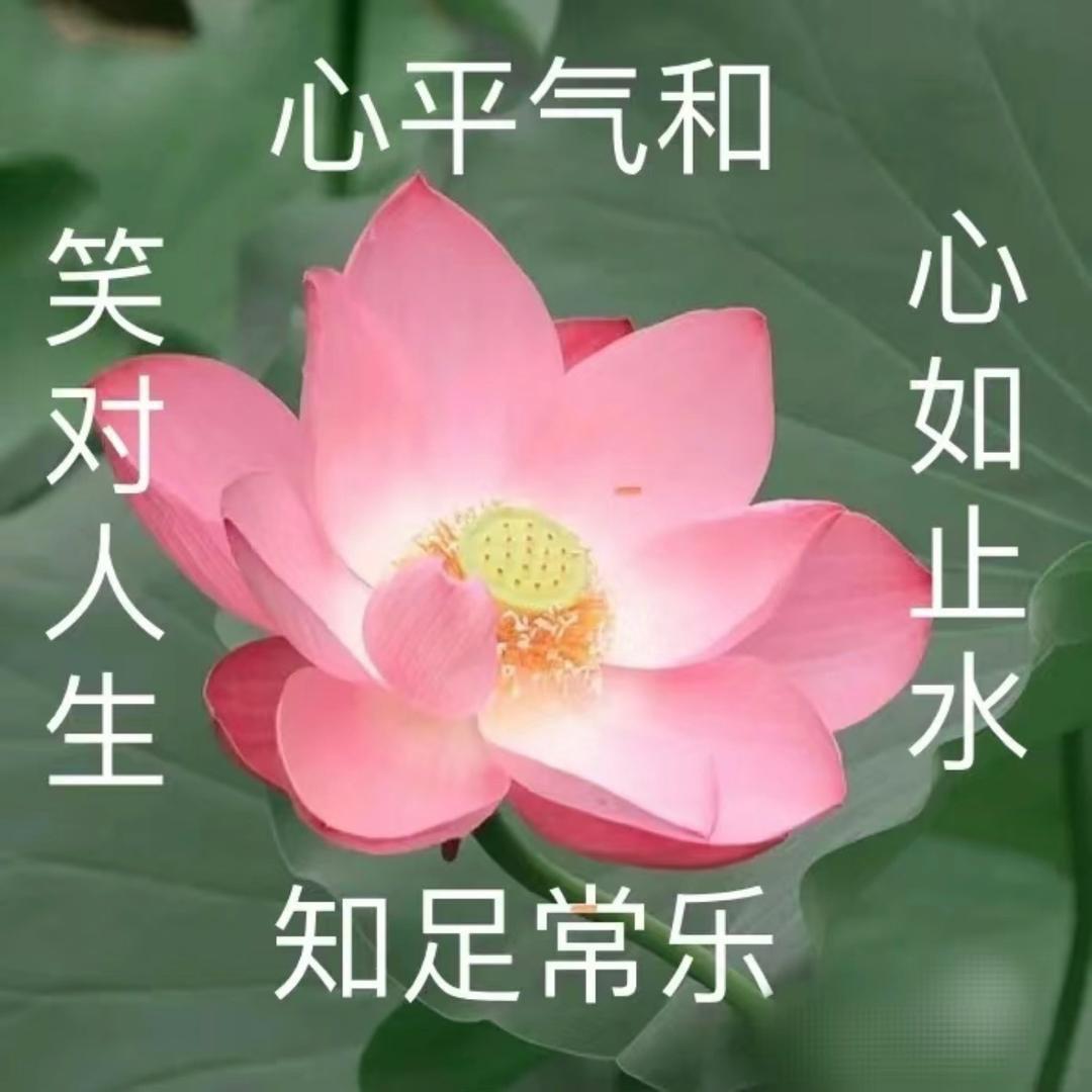 泳彬。