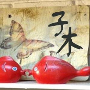 子木棉麻
