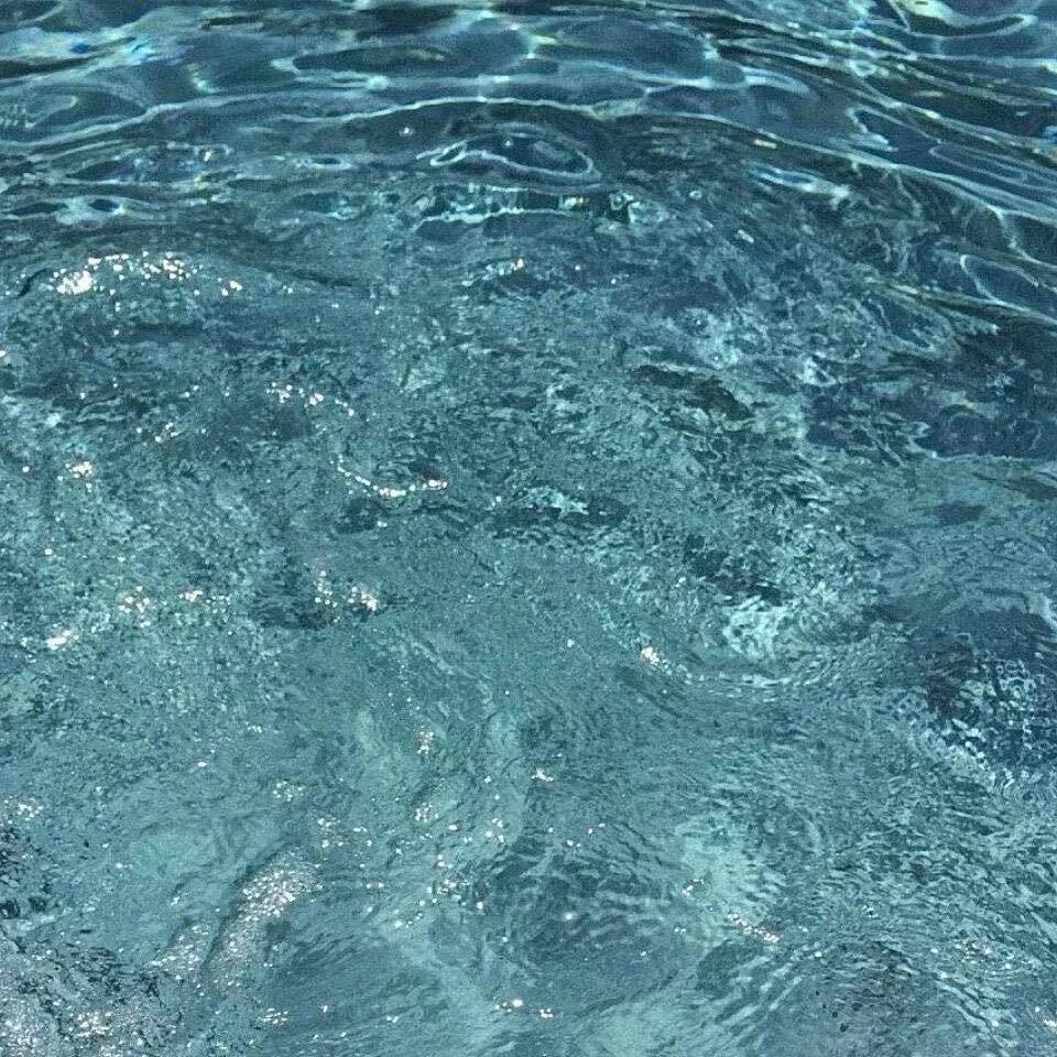 一根毛笔