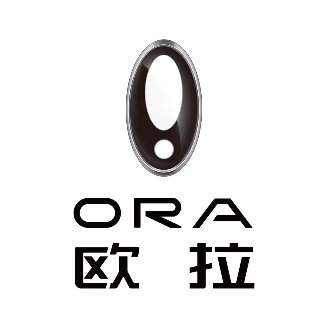北轻汽欧拉ORA