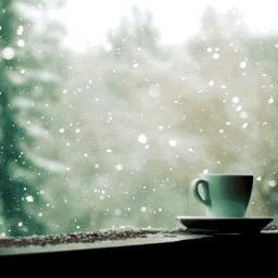 √、塵封的記憶