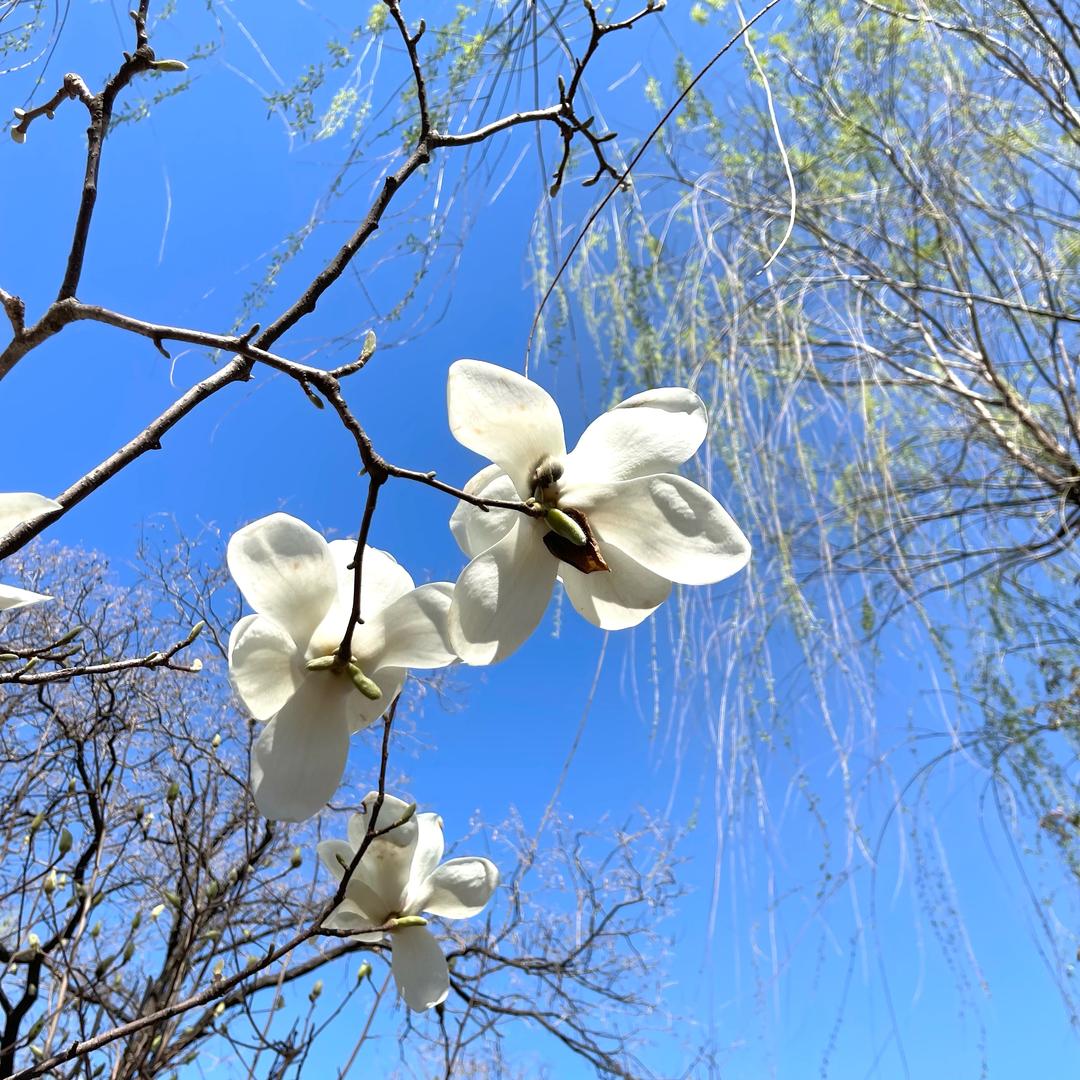 💞静谧时光💝
