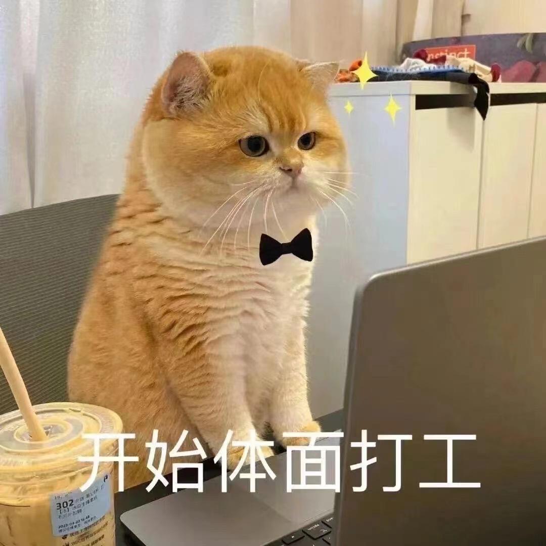 送你一个小可爱
