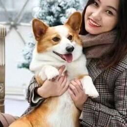宠爱一生一世