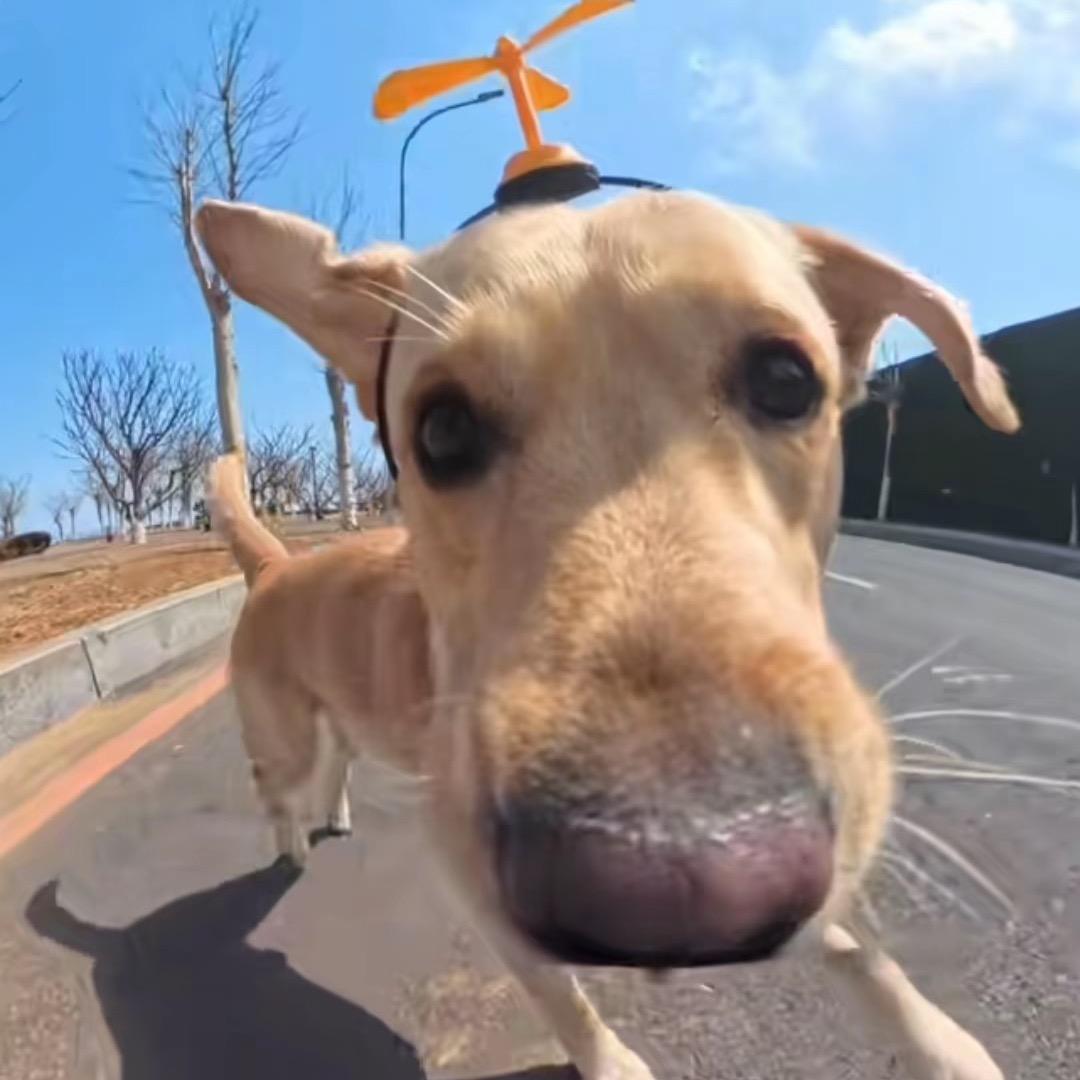 阿拉丁文化传媒