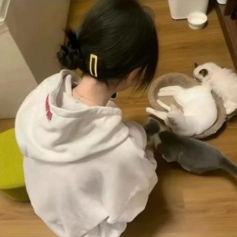 十 一✨