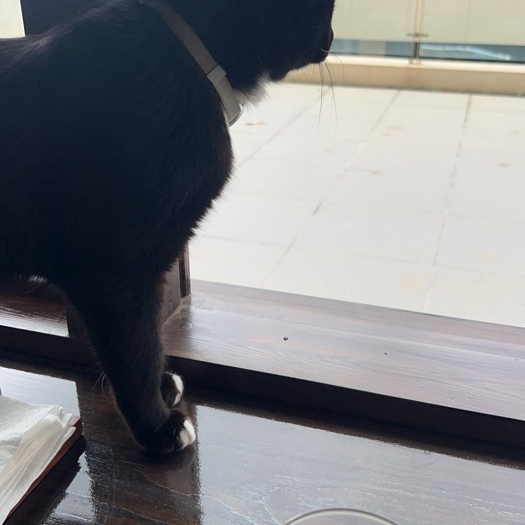 小于总电商