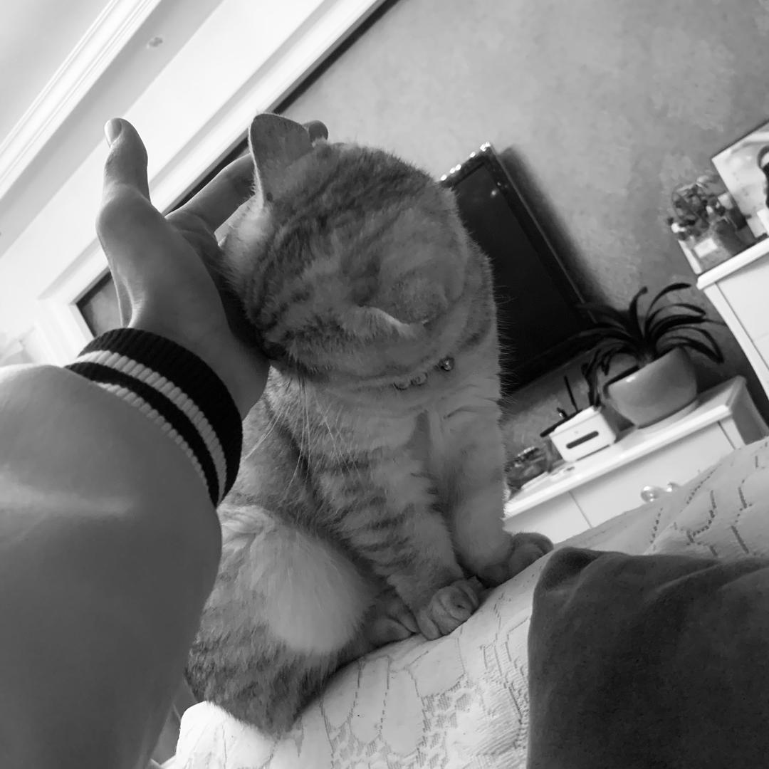 余兴华小助理（下单联系我）