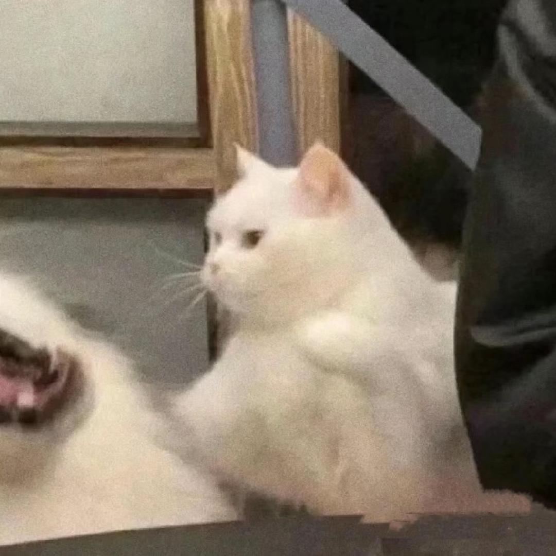 萧念
