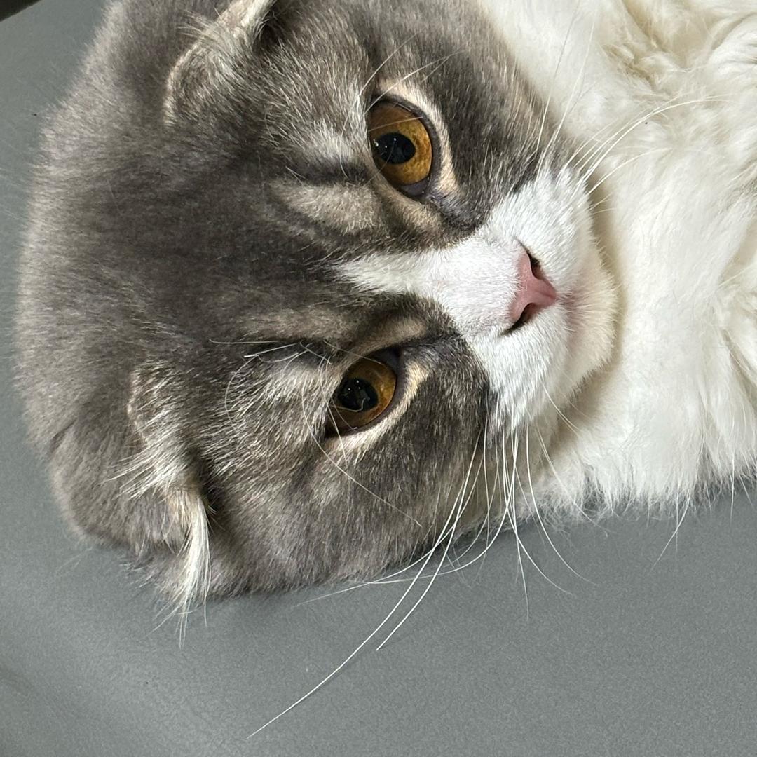 十🌙
