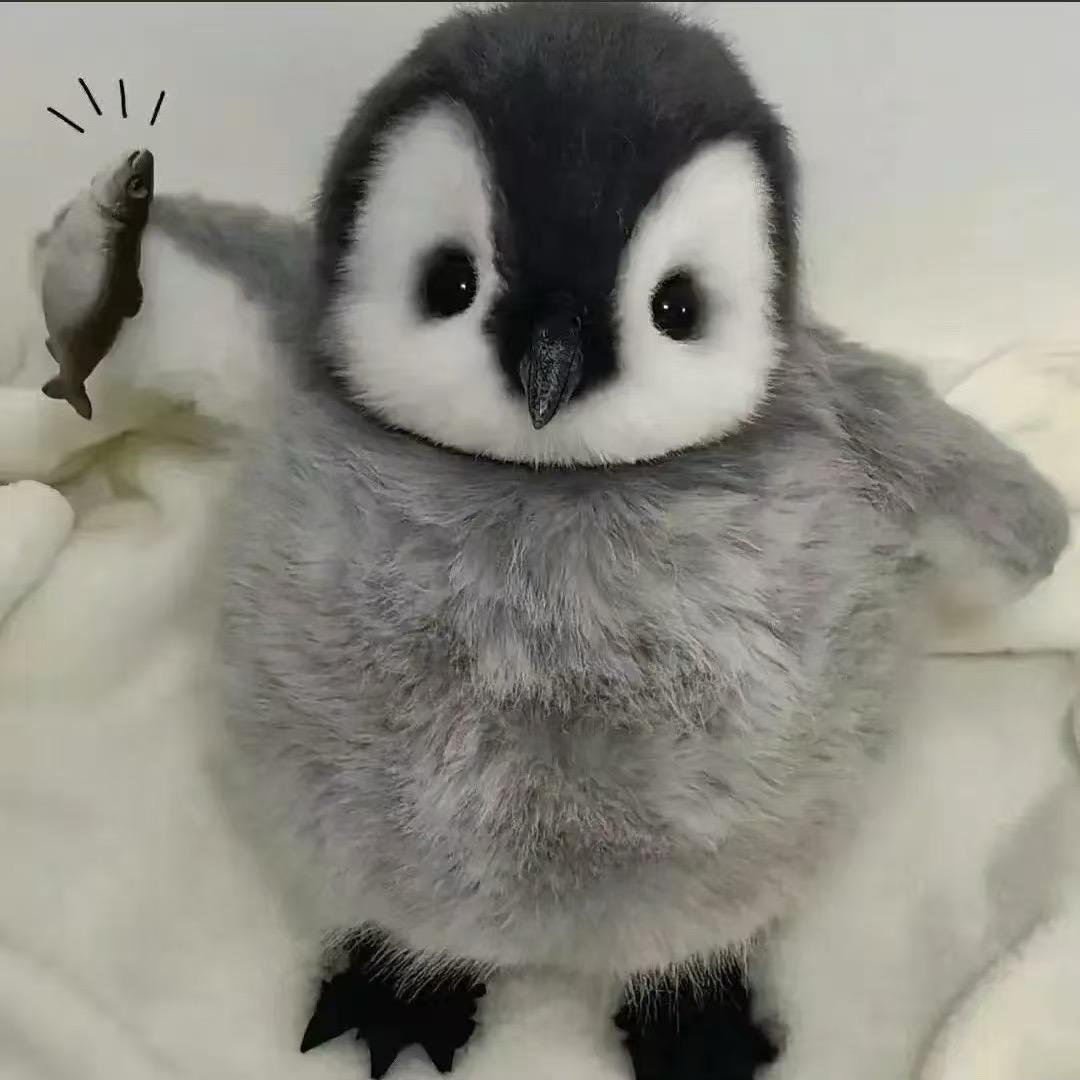 小企鹅