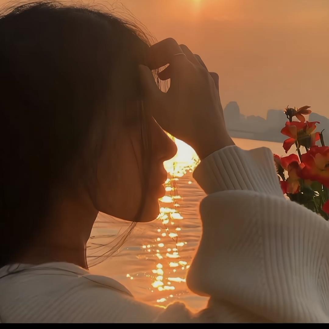 曲线美学社