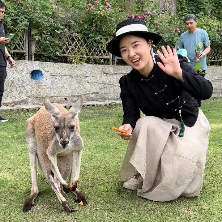 青蓝的旅行日记
