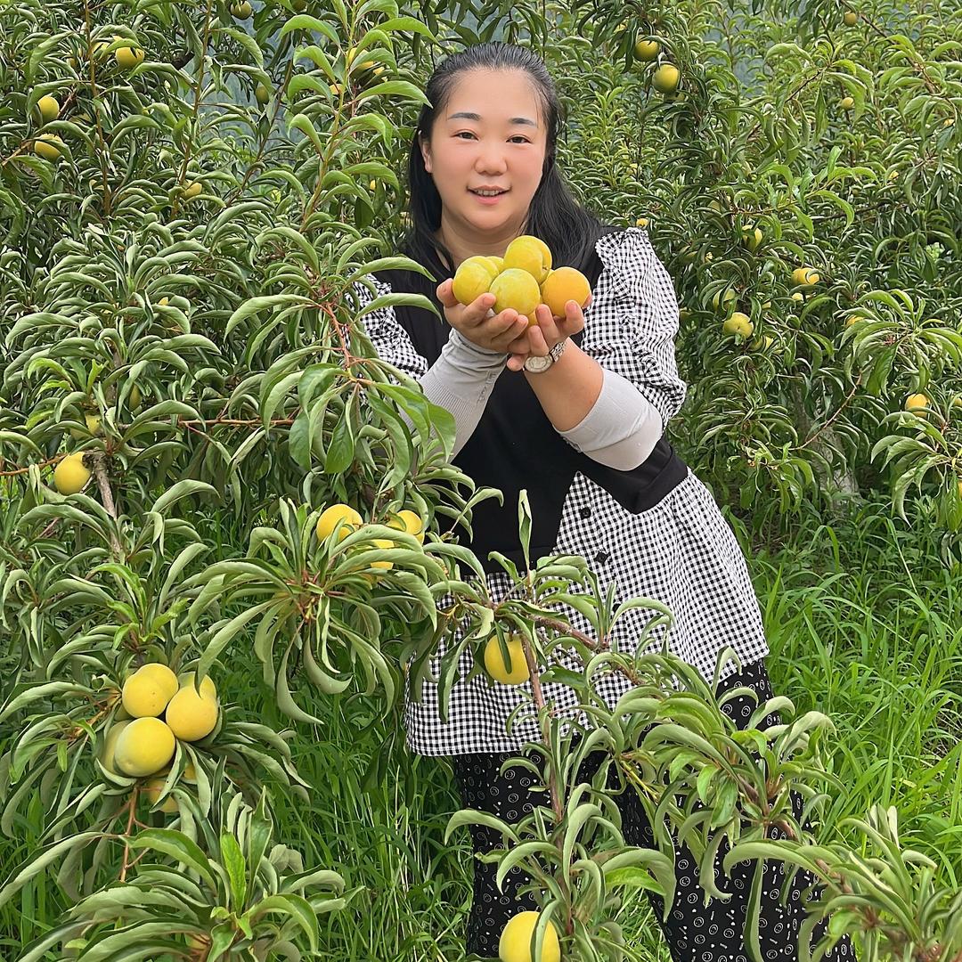 新农人阿玲