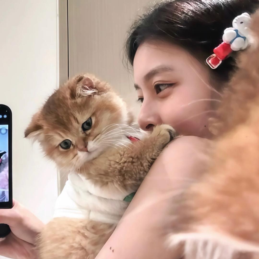 小白