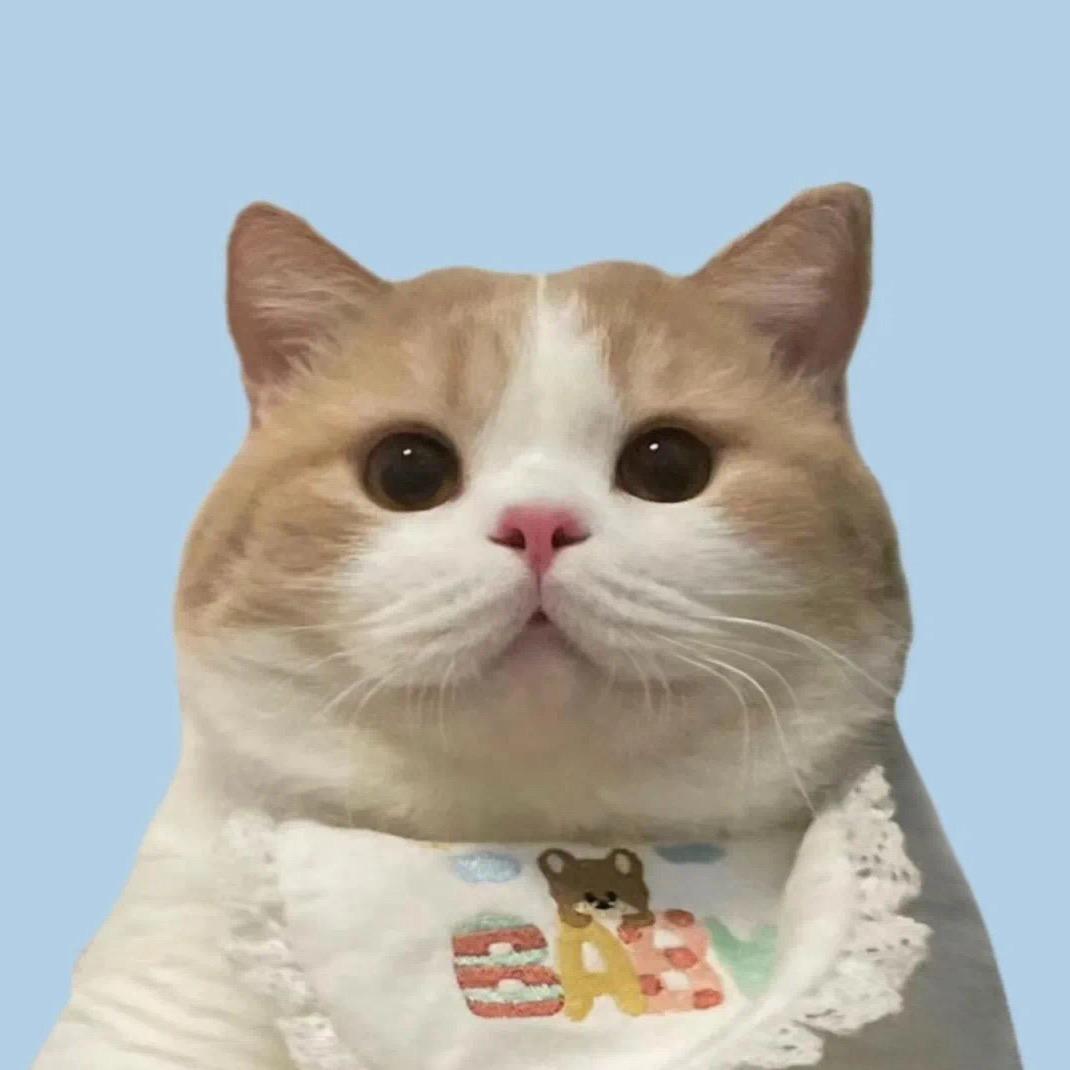 可恩恩