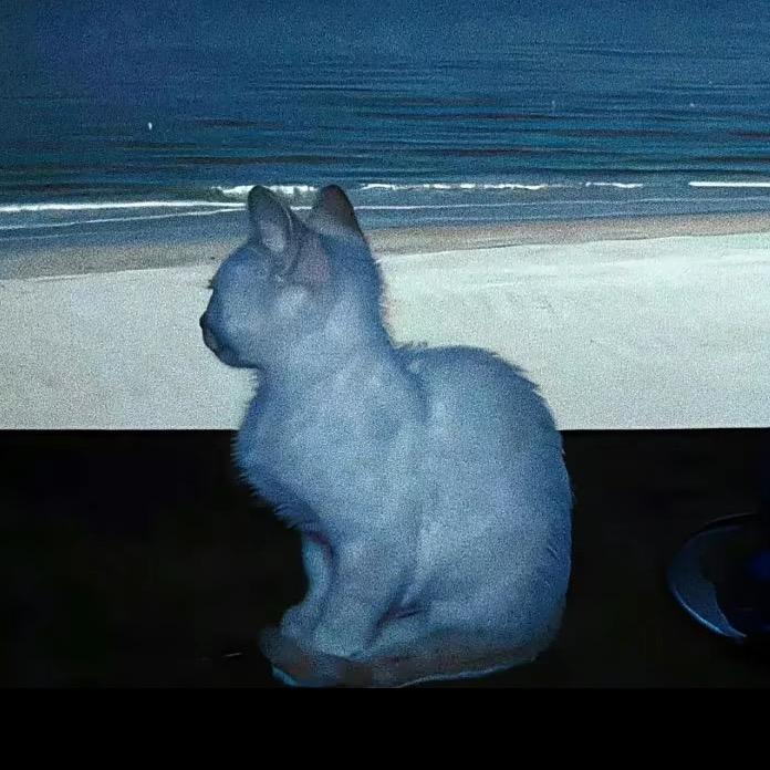 𝙋𝙖𝙞𝙣𝙛𝙪𝙡