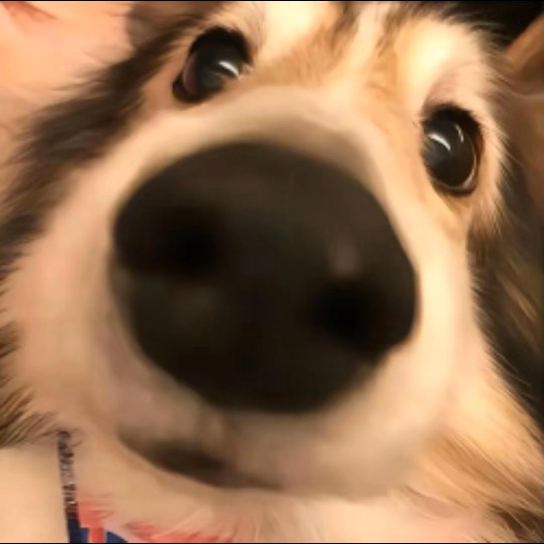 CF江秋