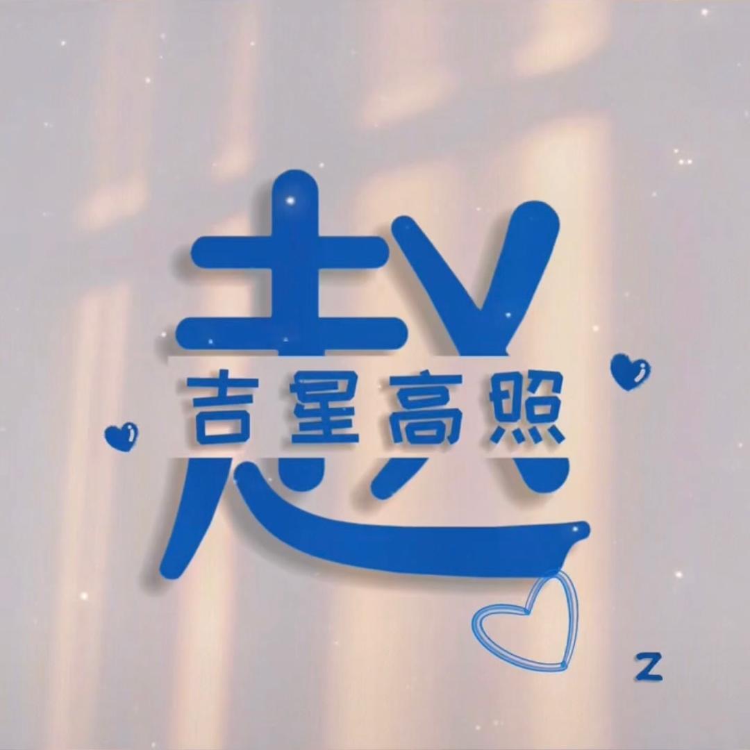 摸不赵头脑✨