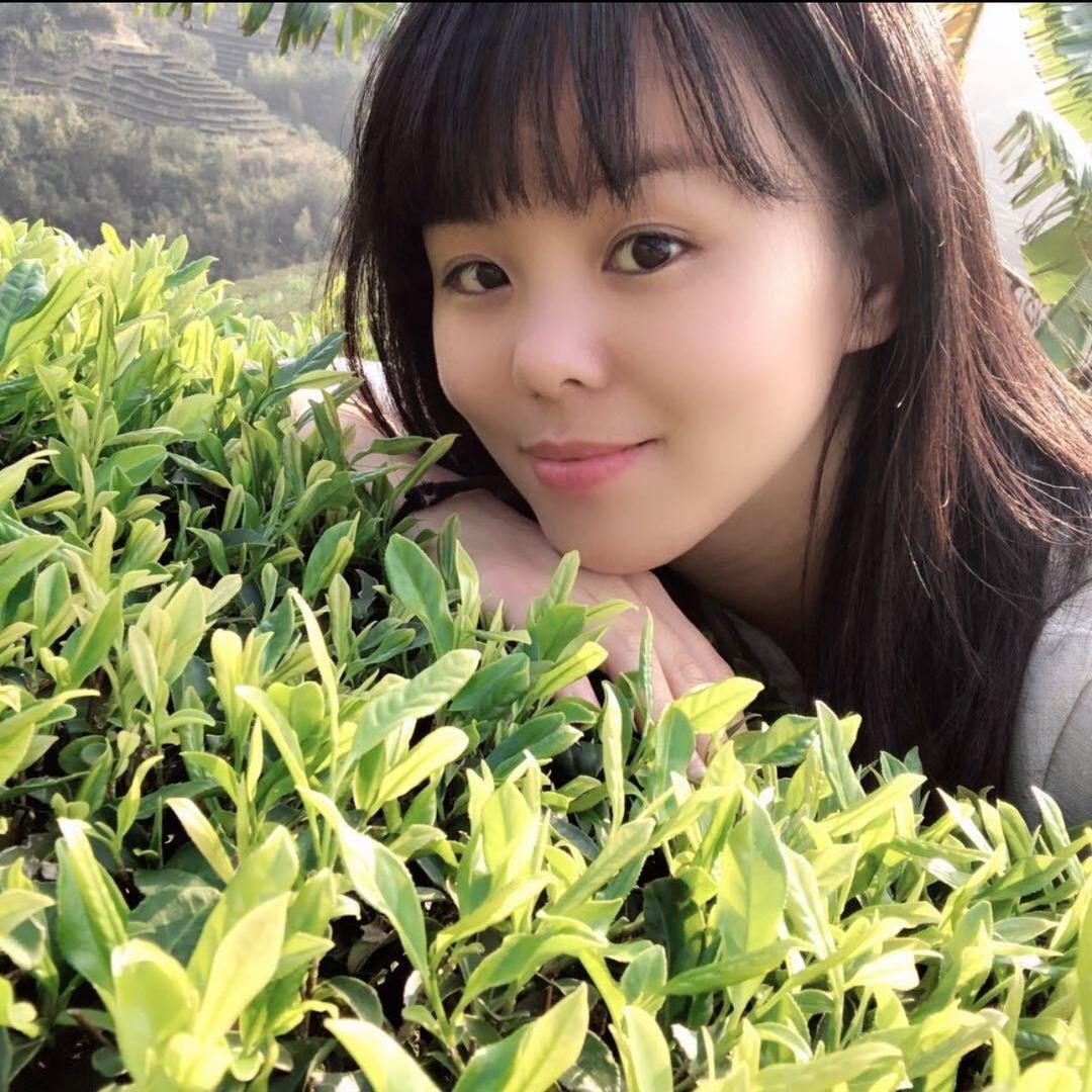 茶云儿茶叶店