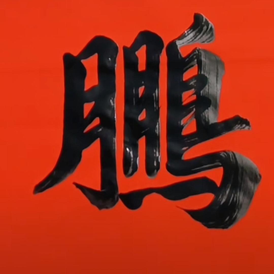 大鹏的生活日常