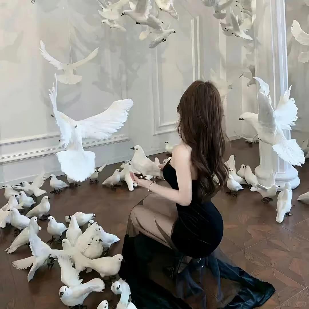 •  小娇妻.
