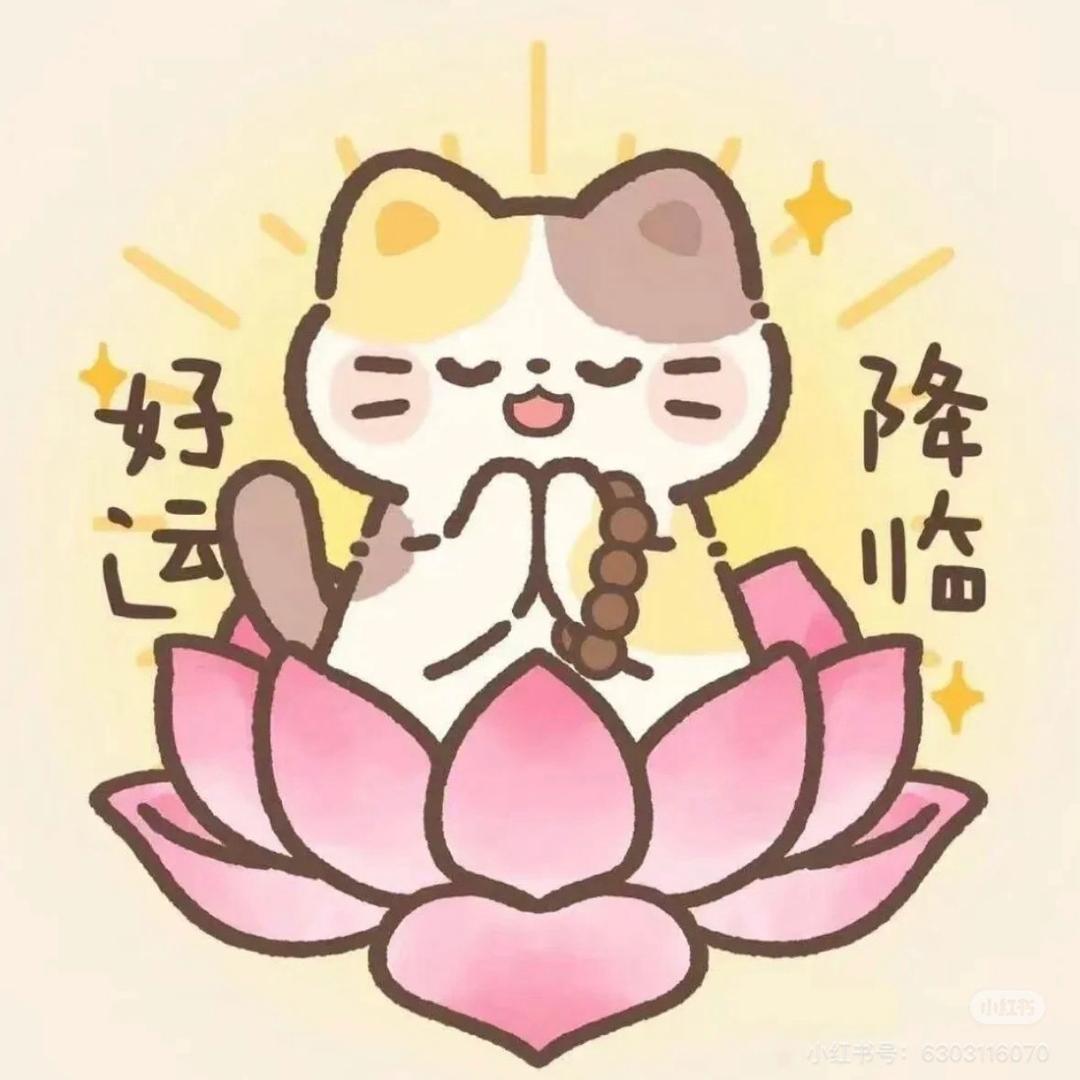 钱💰多多公主🌷