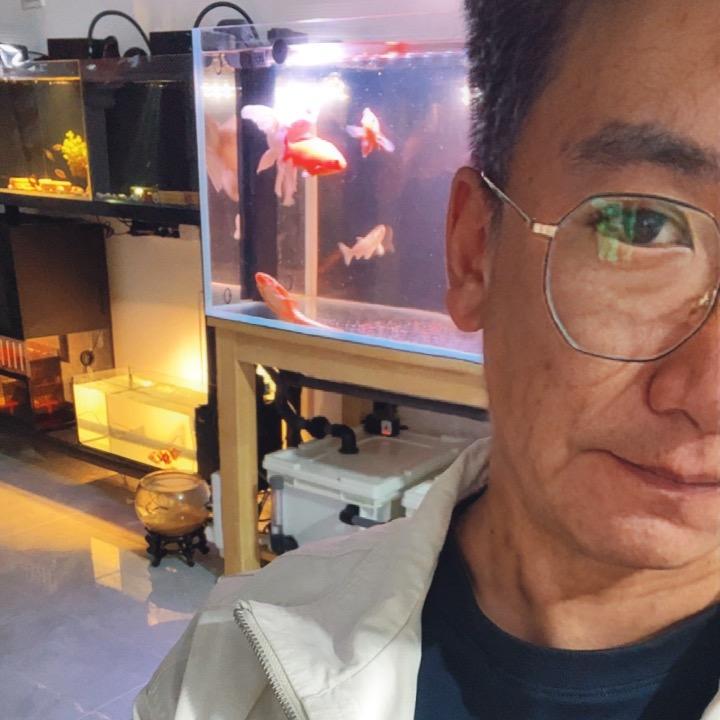 老杨的鱼房🏠