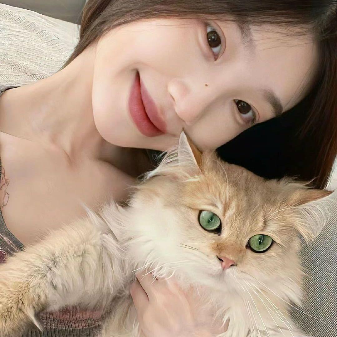 小羊枣泥•︡ᯅ•︠