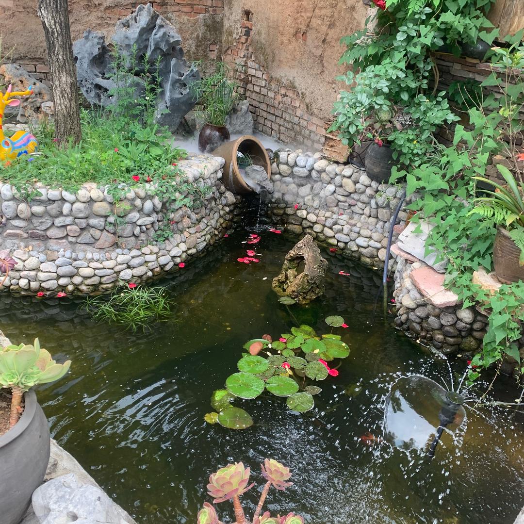 💕音疗公主💕