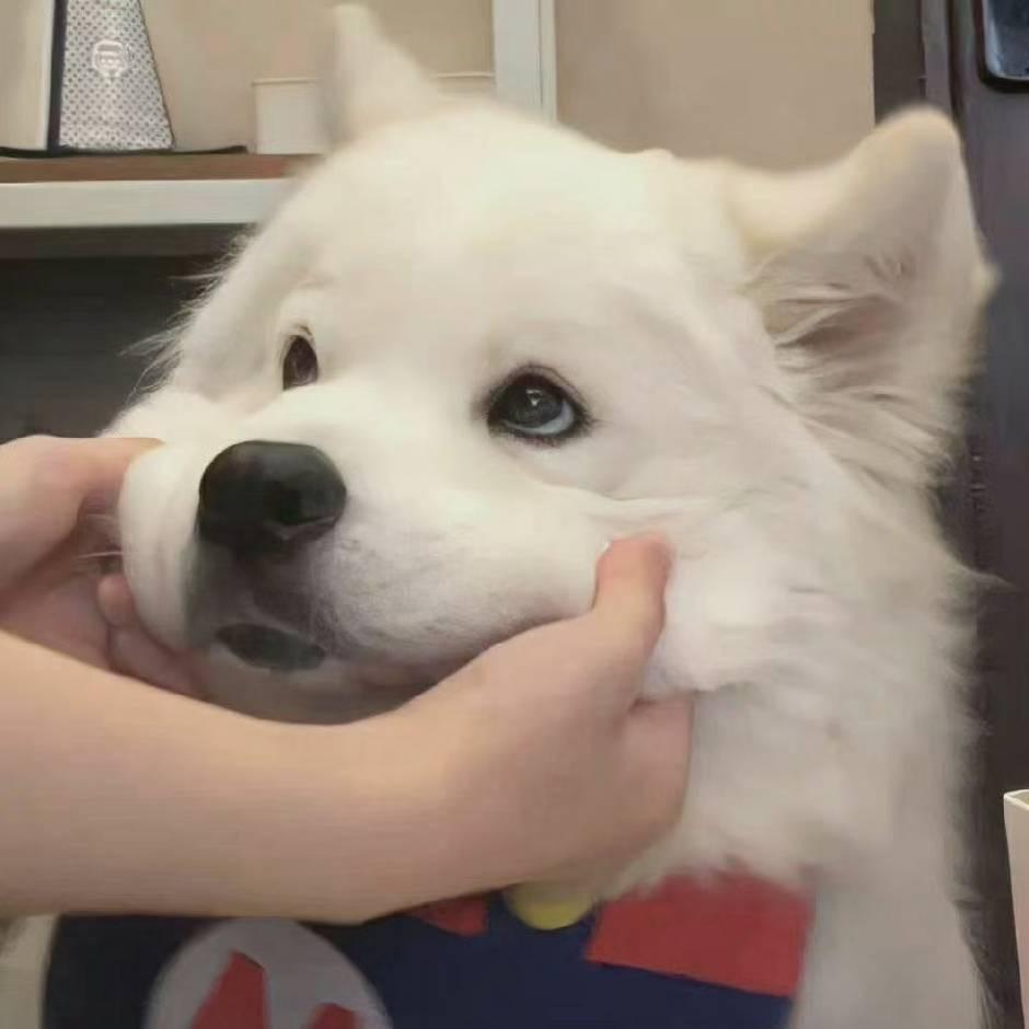 張亮