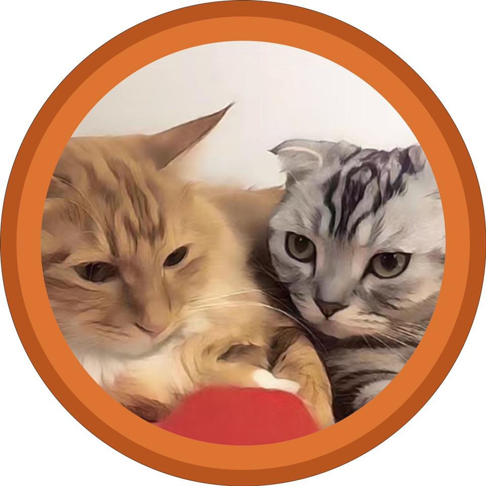 Lu猫