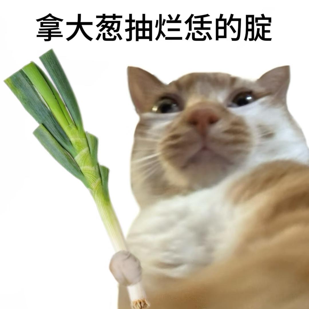Sakoo