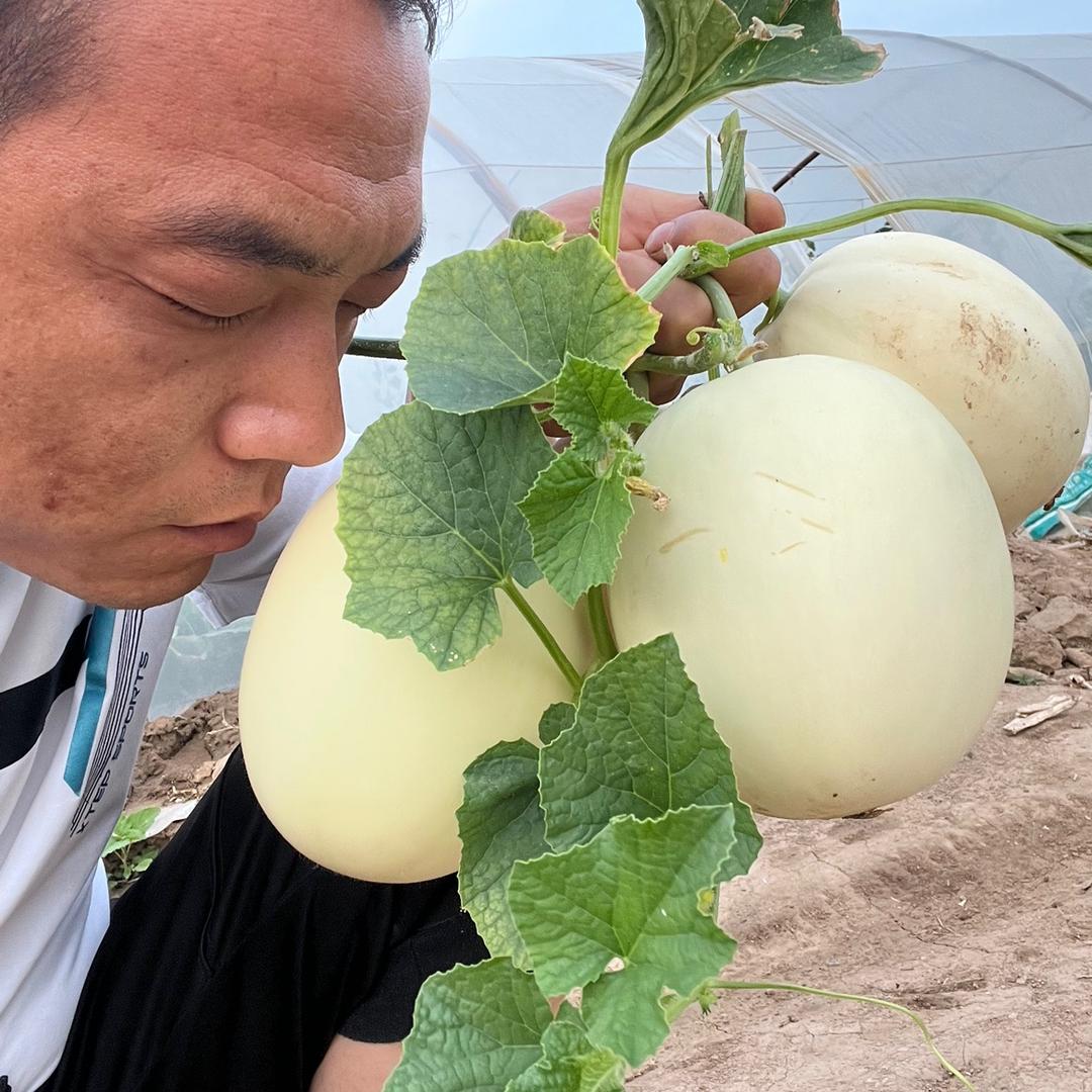 盛世农夫