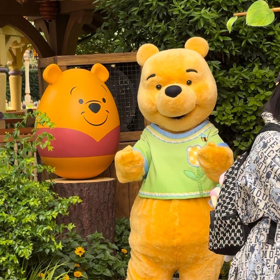 ₍˄·͈༝·͈˄*₎◞ ̑̑