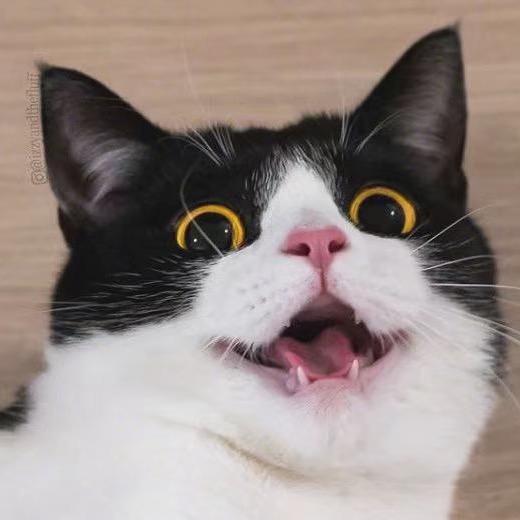 林小羊