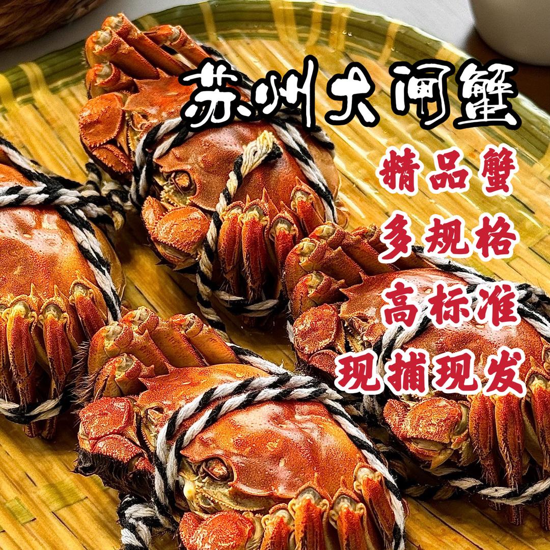 苏州精品大闸蟹 巴城蟹塘