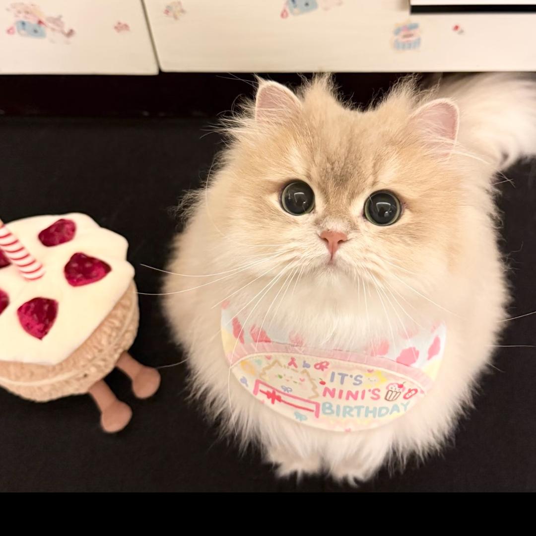 贝贝～