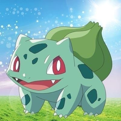 许小丰红烧肉盖饭