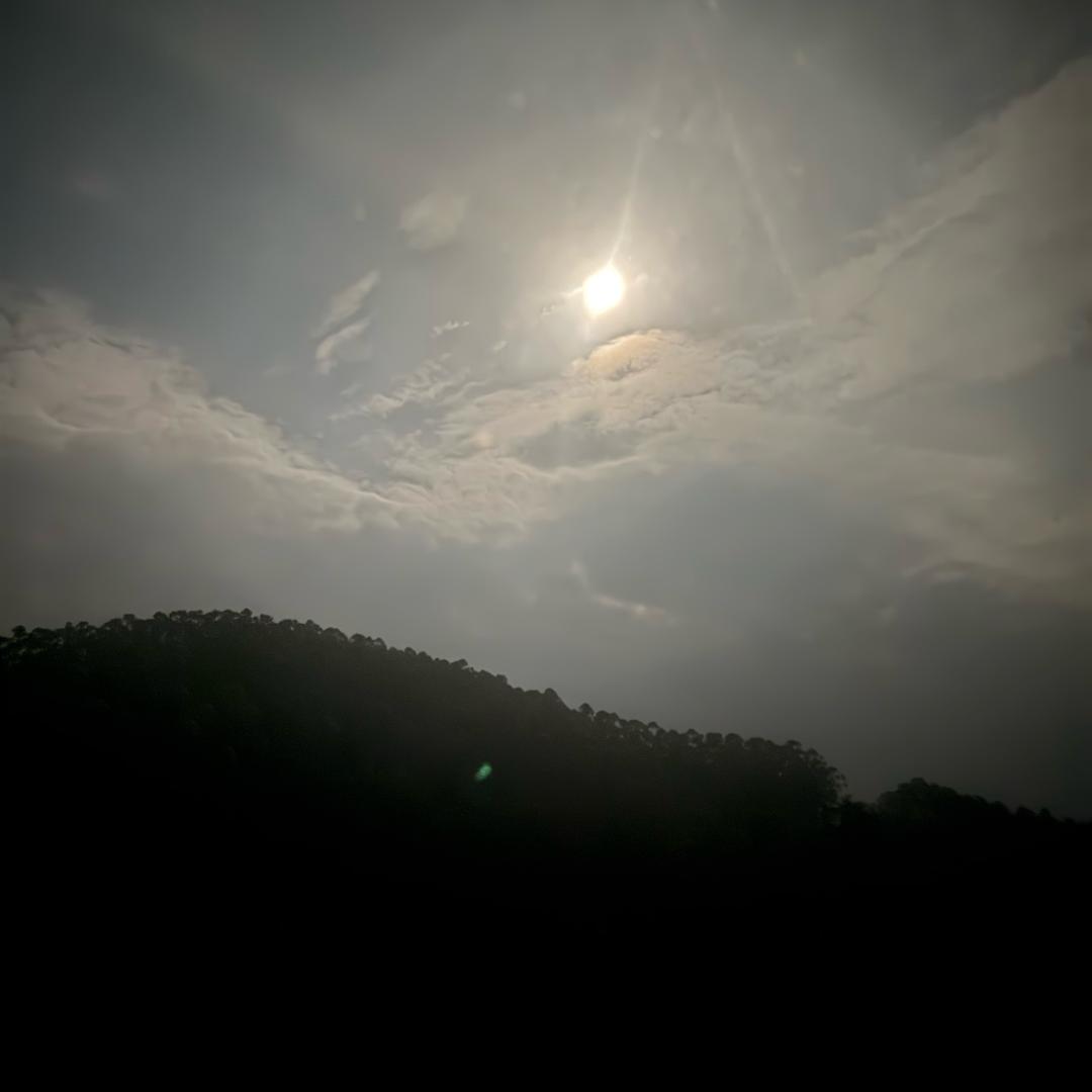 岁月