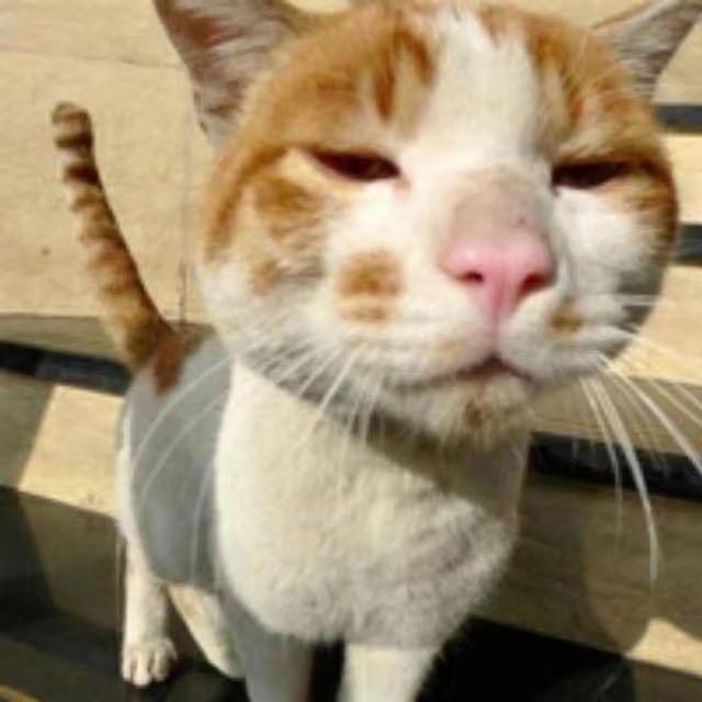 程程程