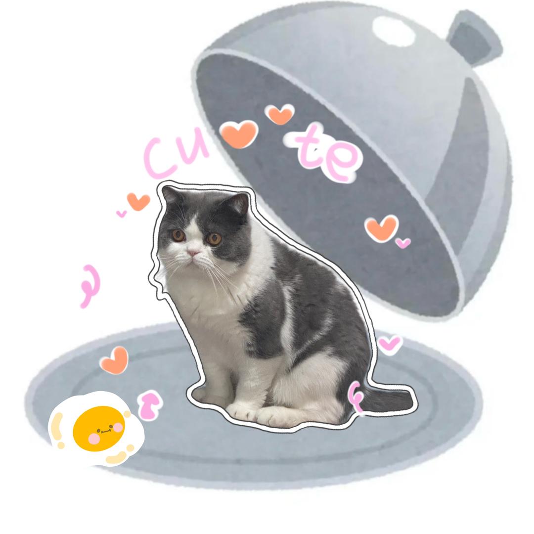 囧囧宝贝喵