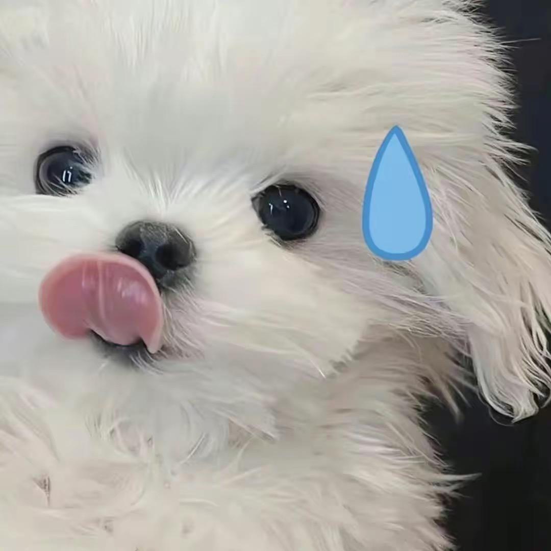 欢欢酱